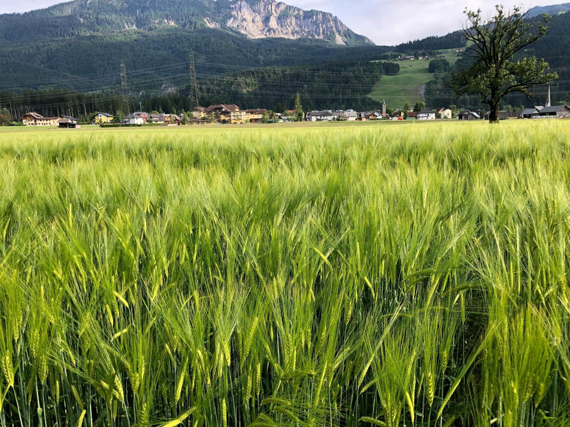 Baerenhuette Troepolach-Nassfeld Jenig Exteriér fotografie