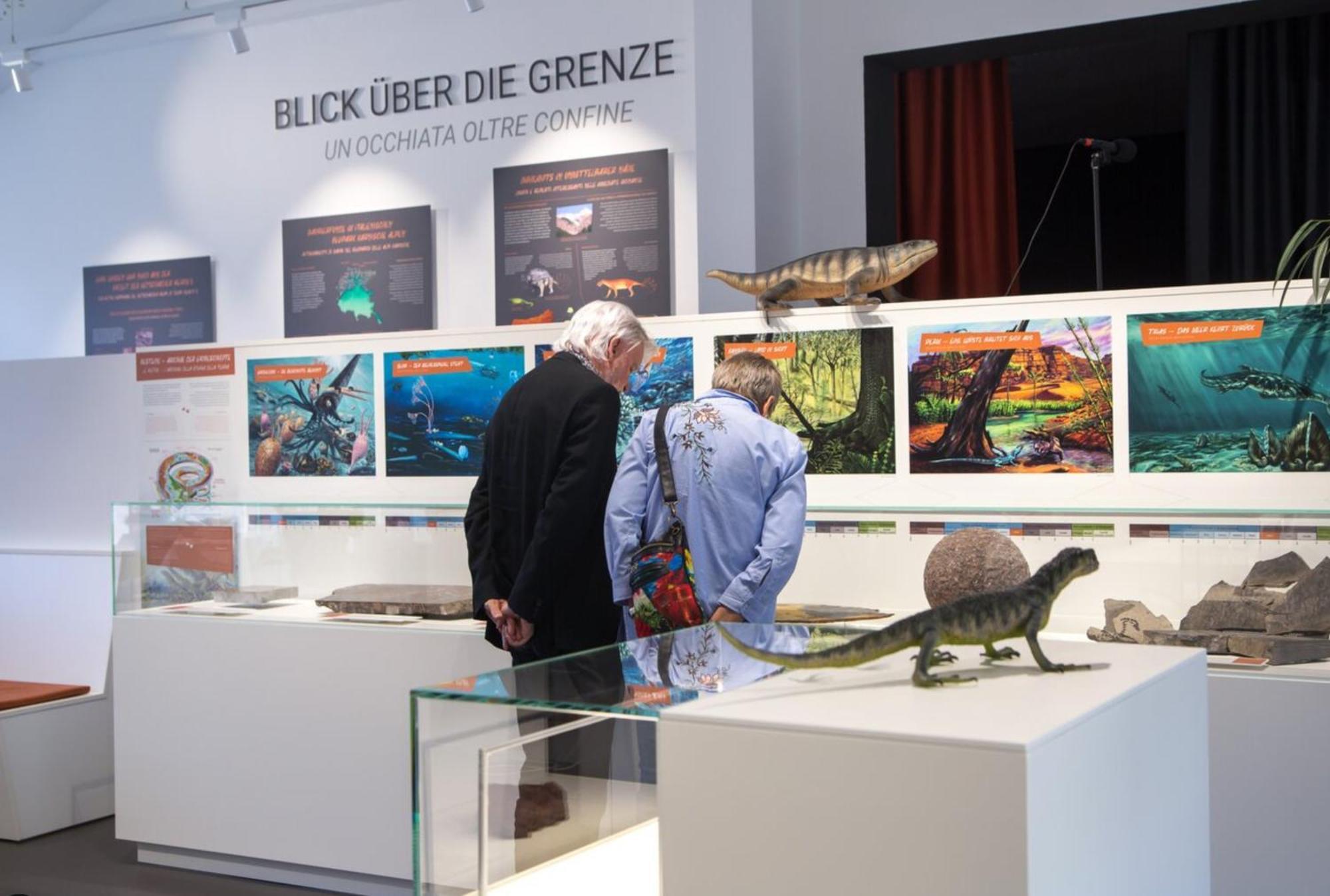 Baerenhuette Troepolach-Nassfeld Jenig Exteriér fotografie